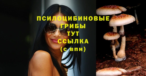 ECSTASY Абинск