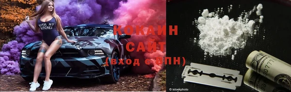 винт Абаза