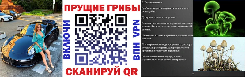 Галлюциногенные грибы GOLDEN TEACHER  Черемхово 