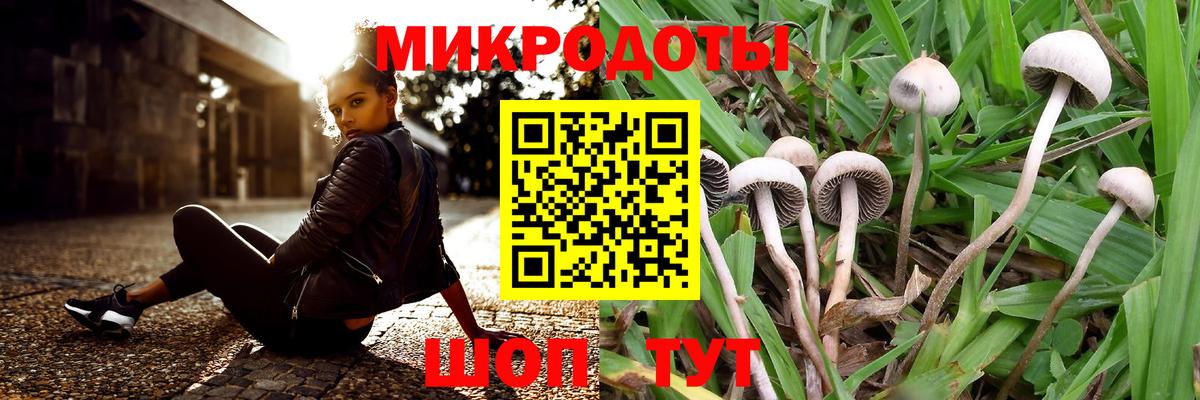 Черемхово  наркота  Вход с VPN  Галлюциногенные грибы Magic Shrooms  Галлюциногенные грибы Cubensis 