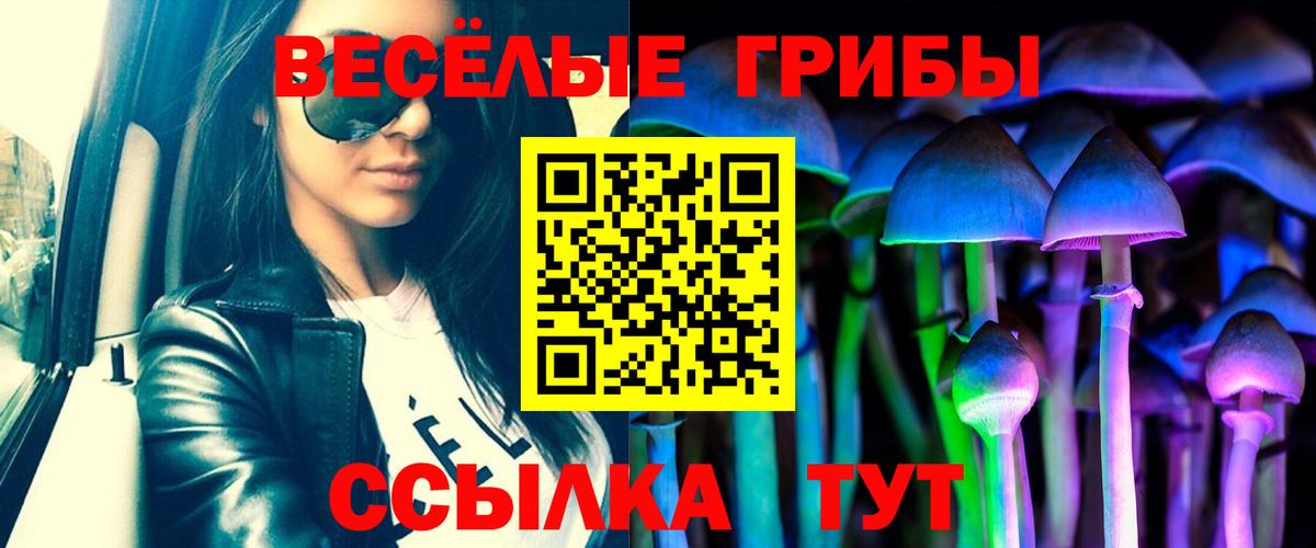 Псилоцибиновые грибы прущие грибы Черемхово